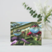 Rozen op het Briefkaart Raindrops (Staand voorkant)