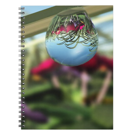 Rozen op het Notitieboek Raindrops (Voorkant)