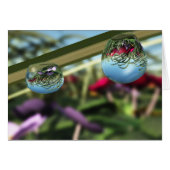 Rozen op Raindrops-kaart (Voorkant Horizontaal)