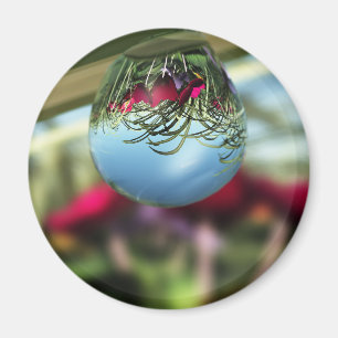 Rozen op Raindrops Magnet