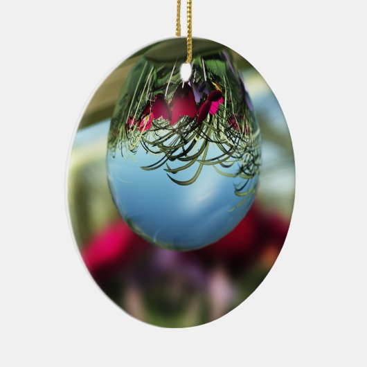 Rozen op Raindrops Ornament (Rechts)