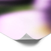 Rozen op regendruppels poster (Hoek)