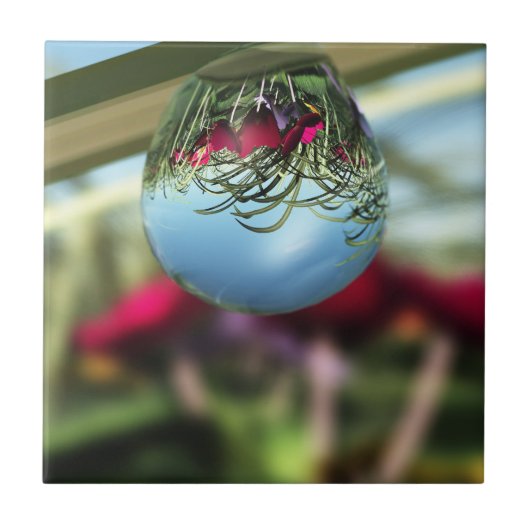 Rozen op regenval tegeltje (Voorkant)