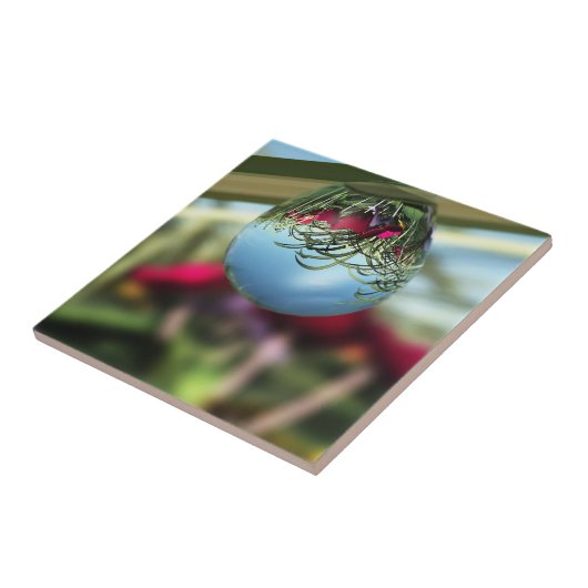 Rozen op regenval tegeltje (Zijkant)