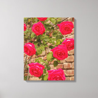 rozen op Verretched Canvas Afdrukken