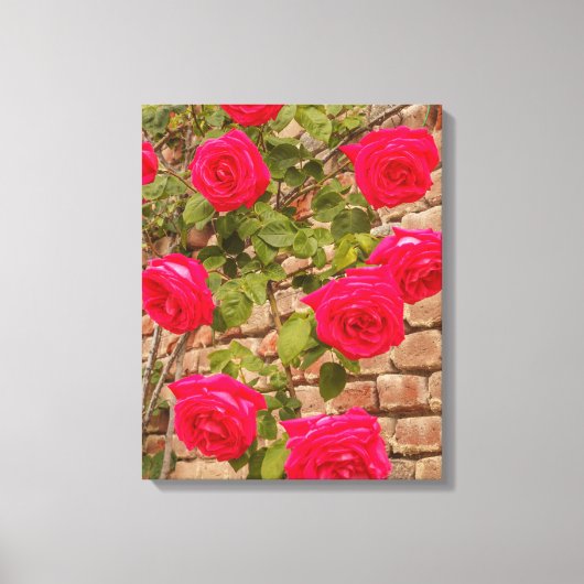 rozen op Verretched Canvas Afdrukken (Voorkant)