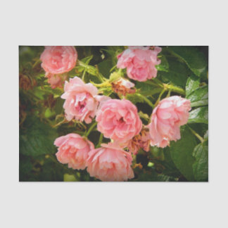 Rozen ophalen Gift Tissue Tissuepapier