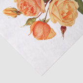 Rozen Oranje bloemen bloemen Tissuepapier (Detail)