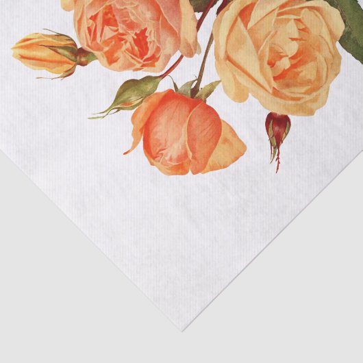 Rozen Oranje bloemen bloemen Tissuepapier (Detail)