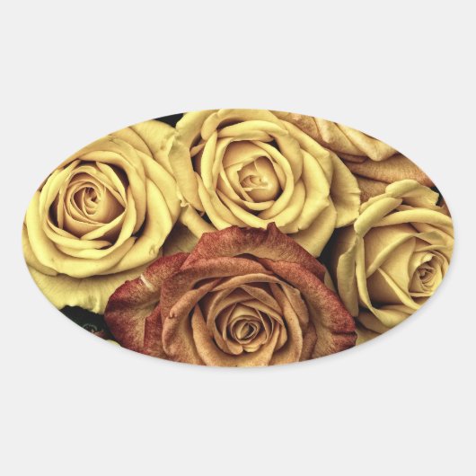  Rozen Ovale Sticker (Voorkant)