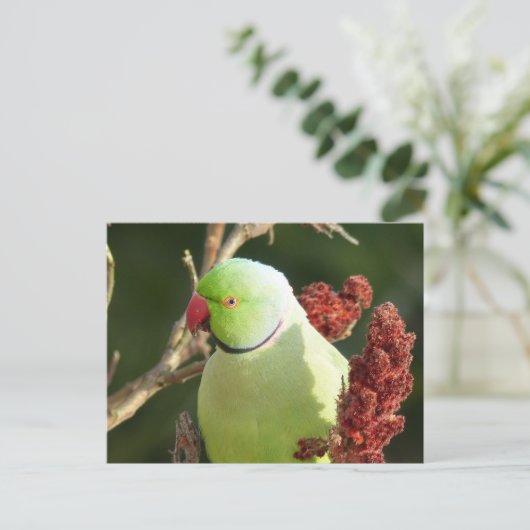 Rozen parkiet briefkaart (Staand voorkant)