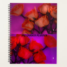 ROZEN PLANNER