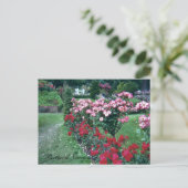 Rozen, Portland, Oregon Briefkaart (Staand voorkant)