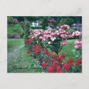 Rozen, Portland, Oregon Briefkaart