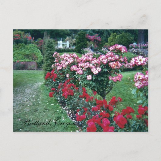 Rozen, Portland, Oregon Briefkaart (Voorkant)