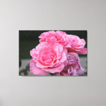Rozen Portret Stretted Canvas Print