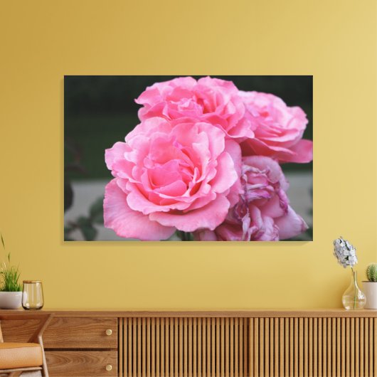 Rozen Portret Stretted Canvas Print (Insitu (Woonkamer))