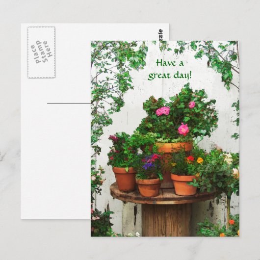  Rozen Post Card Briefkaart (Voorkant / Achterkant)