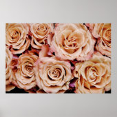 Rozen Poster (Voorkant)
