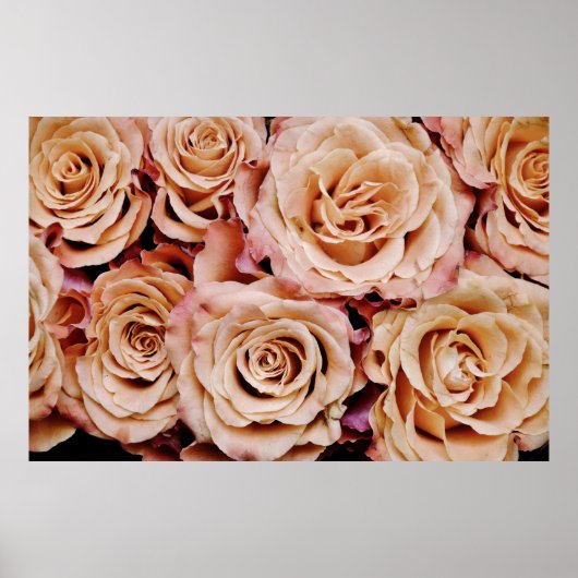 Rozen Poster (Voorkant)