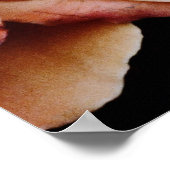 Rozen Poster (Hoek)