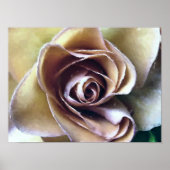 ROZEN POSTER (Voorkant)