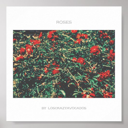 Rozen Poster rode en groene bloemen (Voorkant)