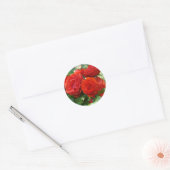 ROZEN Rode Mooie Roos Bloemen stickers (Envelop)