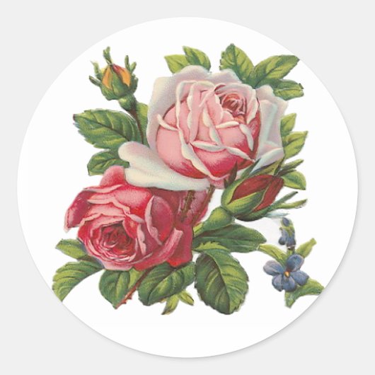  ROZEN RONDE STICKER (Voorkant)