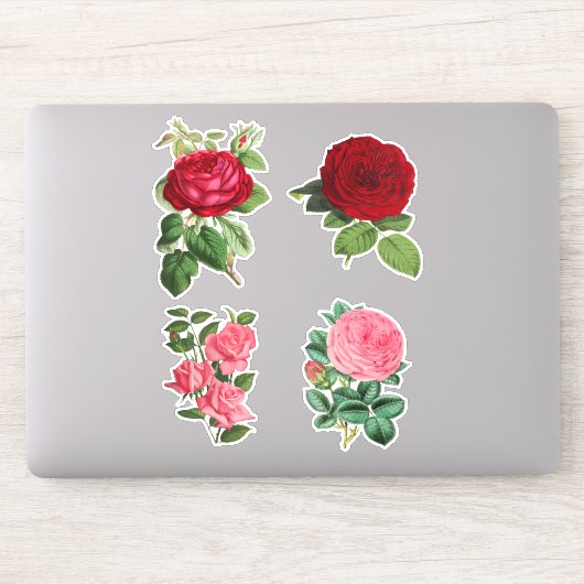 Rozen rood en roze 4 stuk sticker set (Computer)