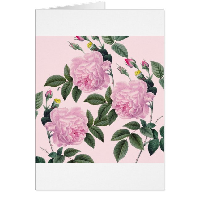 Rozen Roze  droom (Voorkant)