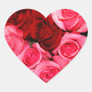 Rozen, roze en rood hart sticker