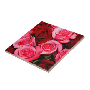 Rozen, Roze en Rood-keramische tegels Tegeltje