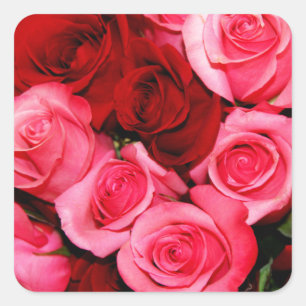 Rozen, roze en rood vierkante sticker