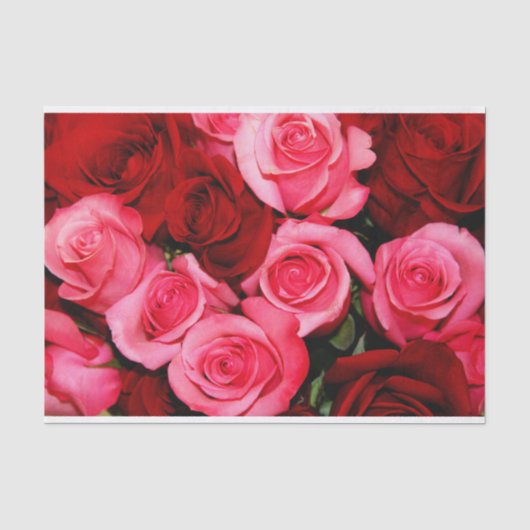 Rozen, roze papier en papier met rode stremming (Voorkant)