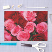 Rozen, roze papier en papier met rode stremming (Craft)