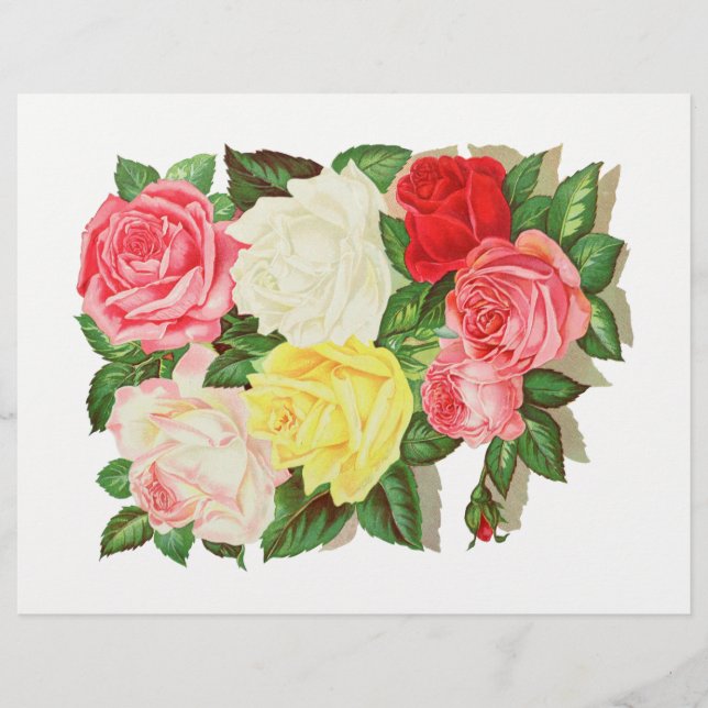 Rozen Roze Wit Geel Rood Bloem Bloemrijk #1 (Voorkant)