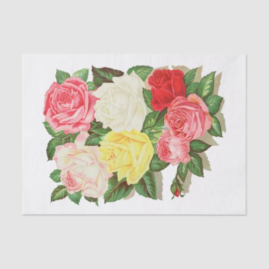 Rozen Roze witte rode bloem #1 Tissuepapier (Voorkant)