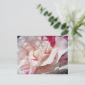 ROZEN Roze Witte Roos Bloemen 1 Kaarten Cadeaus Mo (Staand voorkant)