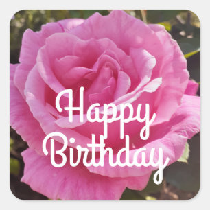 Rozen Rozen Roze Bloemen Bloemen Vierkante Sticker