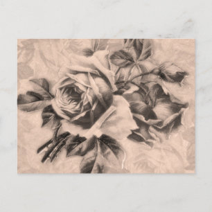 Rozen Sepia Briefkaart