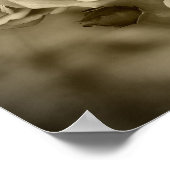  Rozen Sepia Poster (Hoek)