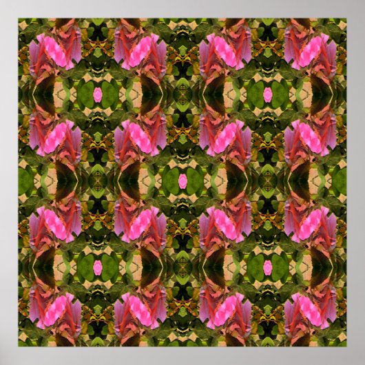 Rozen spectaculair.... poster (Voorkant)