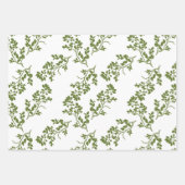 Rozen stengels en Border Stripe Assorted Inpakpapier Vel (Voorkant 2)