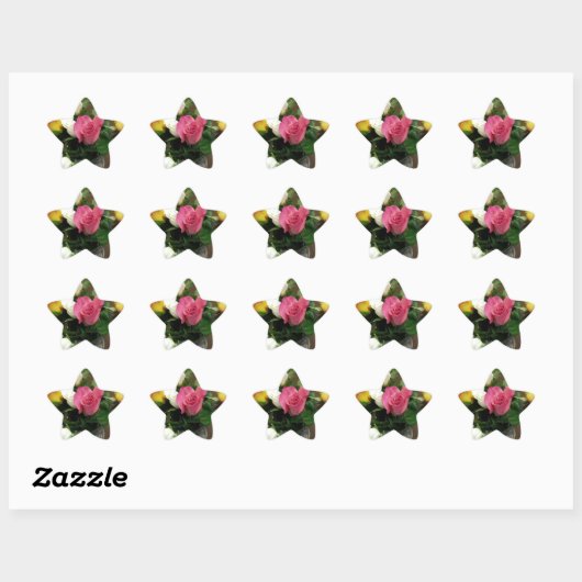 Rozen Ster Sticker (Vel)