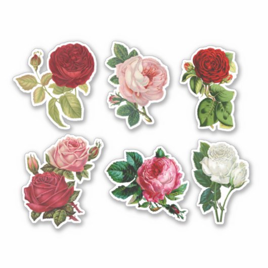 Rozen Sticker (Voorkant)