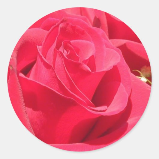 Rozen Stickers en envelopsluitingen (Voorkant)