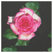 Rozen Stof (Close Up)