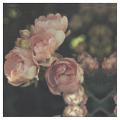 Rozen Stof (Close Up)