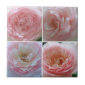Rozen Tegeltje (Voorkant)
